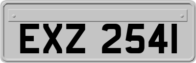 EXZ2541