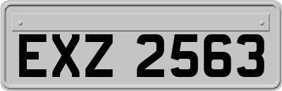 EXZ2563