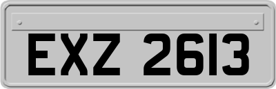 EXZ2613