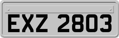 EXZ2803