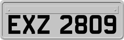 EXZ2809