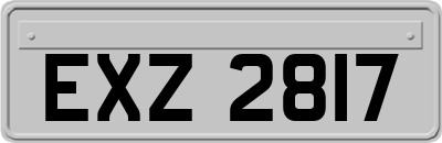 EXZ2817