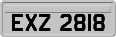 EXZ2818