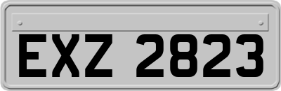 EXZ2823