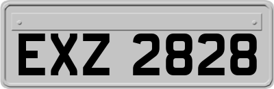 EXZ2828