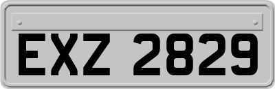 EXZ2829