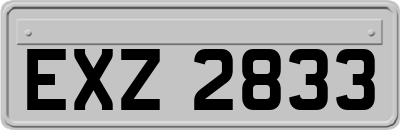 EXZ2833