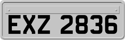 EXZ2836