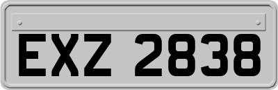 EXZ2838