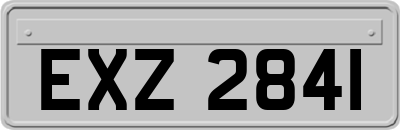 EXZ2841