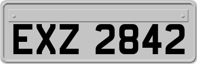 EXZ2842