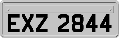 EXZ2844