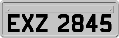 EXZ2845