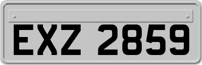 EXZ2859