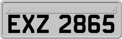 EXZ2865
