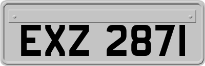 EXZ2871