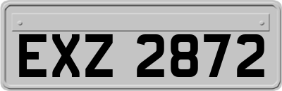 EXZ2872