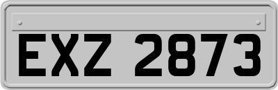 EXZ2873
