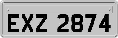 EXZ2874