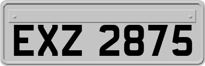EXZ2875