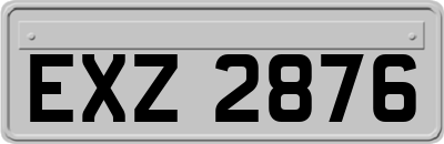 EXZ2876