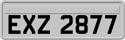 EXZ2877