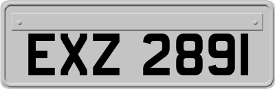 EXZ2891