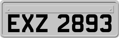 EXZ2893