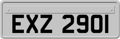 EXZ2901
