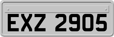EXZ2905
