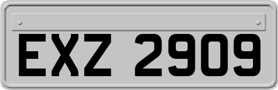 EXZ2909