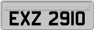 EXZ2910