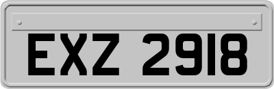 EXZ2918
