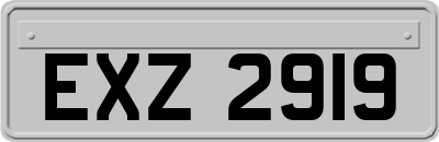 EXZ2919