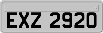 EXZ2920