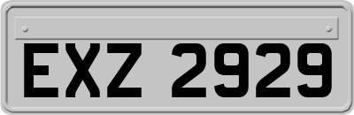 EXZ2929