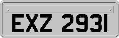 EXZ2931