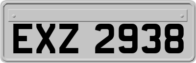 EXZ2938