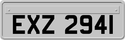 EXZ2941