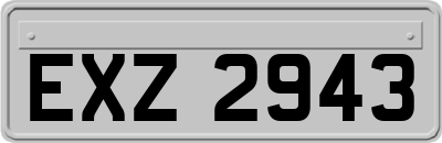 EXZ2943