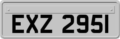 EXZ2951