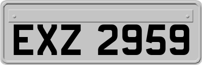 EXZ2959