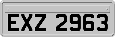EXZ2963