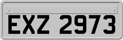 EXZ2973