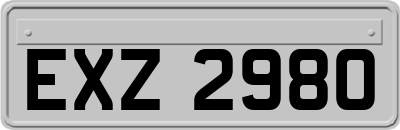 EXZ2980