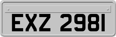 EXZ2981