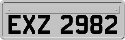 EXZ2982