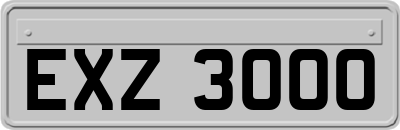 EXZ3000