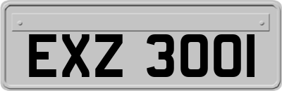 EXZ3001