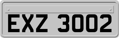 EXZ3002